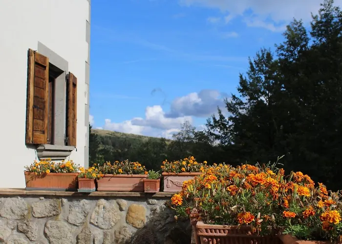 Bauernhof Trefossata